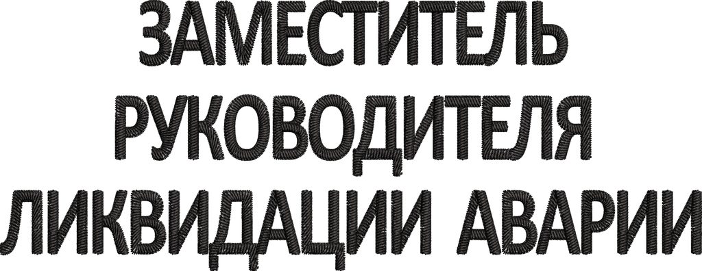 ЗАМЕСТИТЕЛЬ РУКОВОДИТЕЛЯ ЛИКВИДАЦИИ АВАРИИ