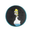 Homer Patch