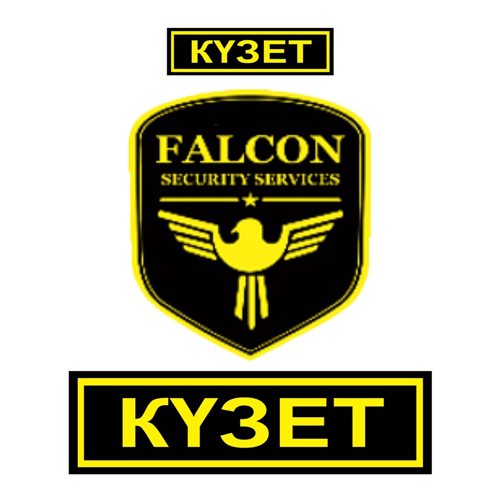 Falcon Security Agency Branding kit