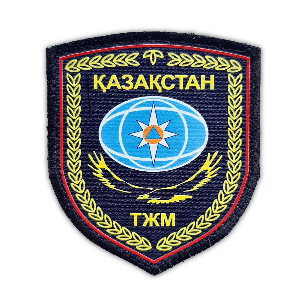 Сол жақ жеңдегі шеврон ТЖМ