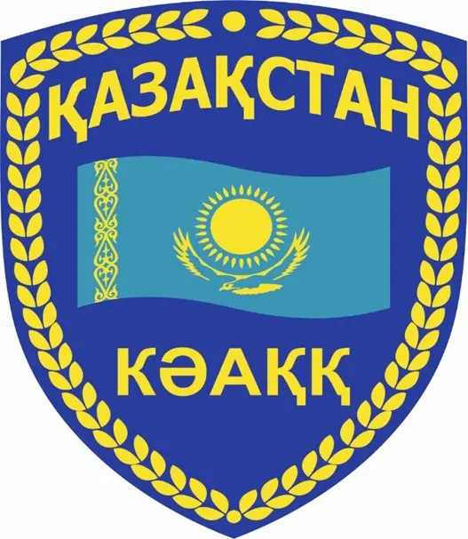 Сол жақ жеңге арналған КӘАҚҚ патчы