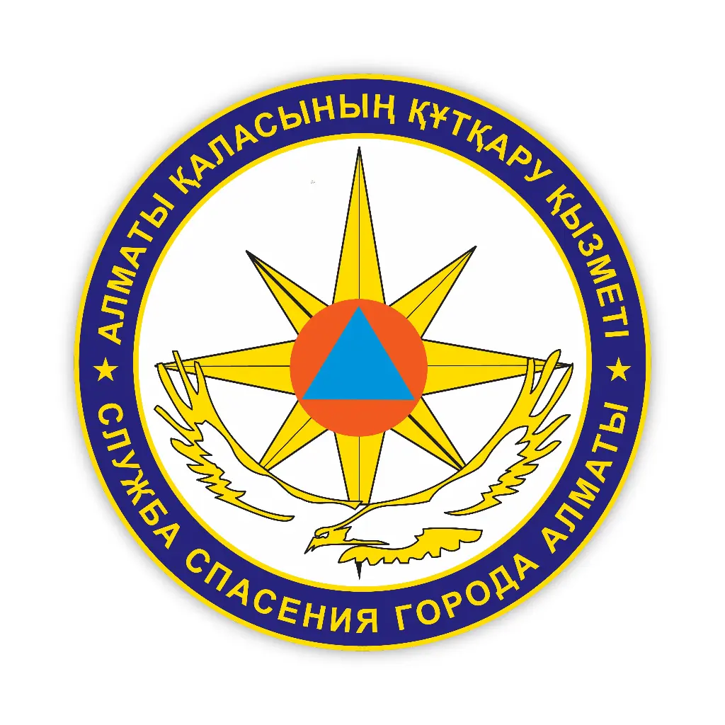 Брендирование методом DTF Герб ОСО