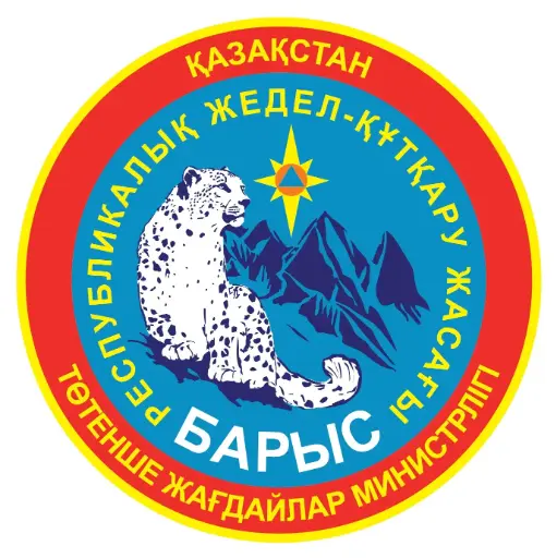 [DTF-2399-10] Barys patch