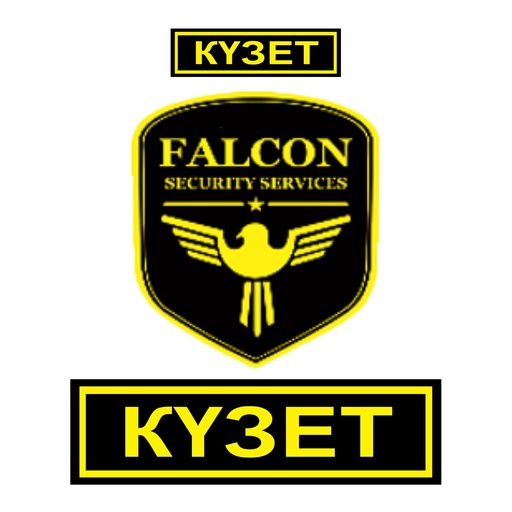 [SUB-24031] Комплект брендирования Охранное агенство Falcon 
