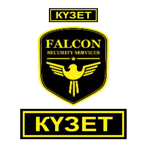 [SUB-24031] Falcon Security Agency Branding kit