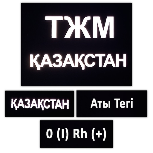 [FLX-2399-10] Комплект шевронов ТЖМ Қазақстан