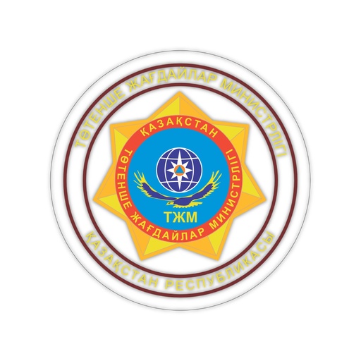 [DTF-2399-07] ТЖМ chest patch